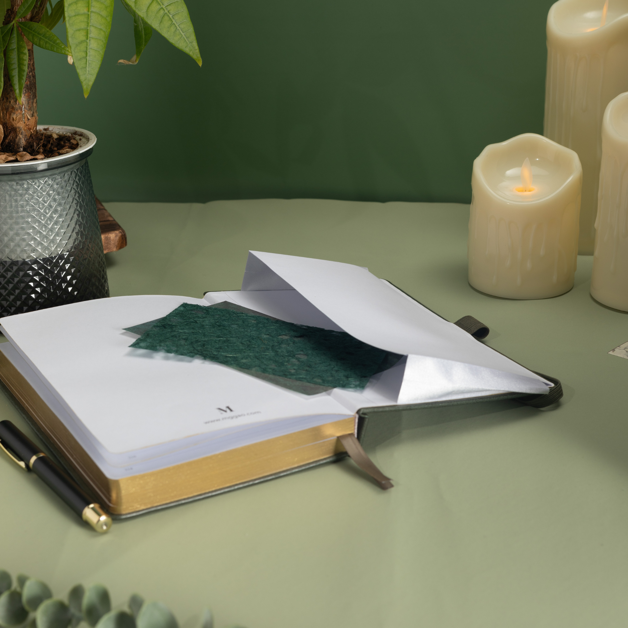 Inner back pocket of the dark green vegan leather notebook holding a green card, with gold gilded edges visible and styled next to a feather pen.  