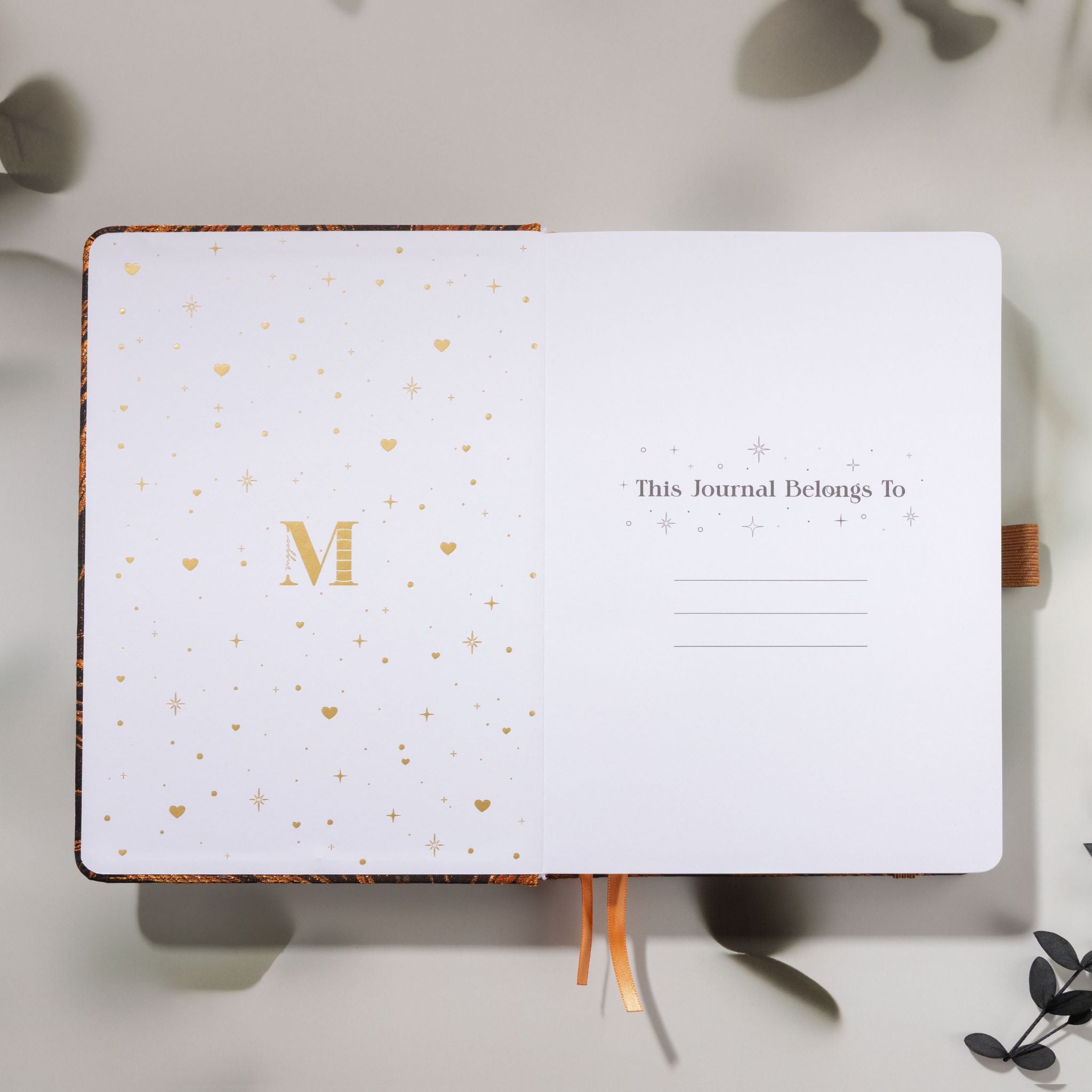 Inside title page featuring a gold foil "M" logo and the "This Journal Belongs To" ownership section