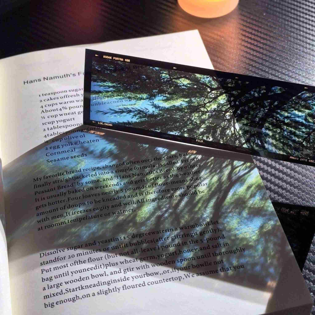 ilm frame acrylic bookmark – looking up through forest canopy
