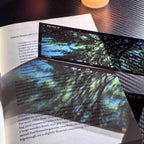 ilm frame acrylic bookmark – looking up through forest canopy